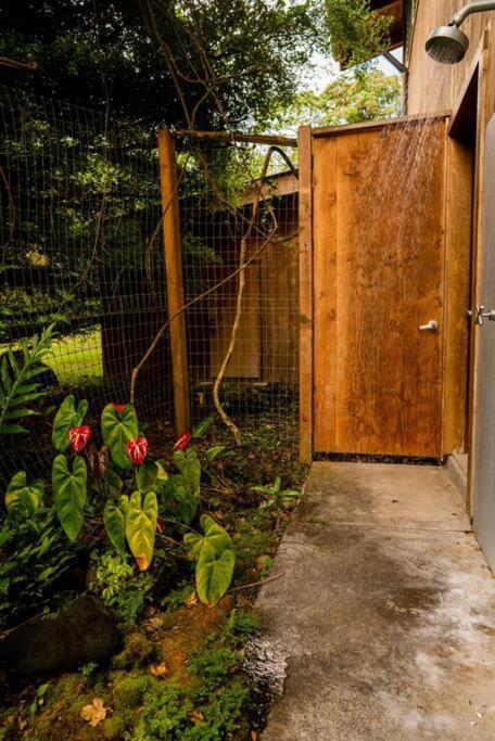 Jungle Haven Ocean Front Eco Villa On Fruit Farm 파호아 외부 사진