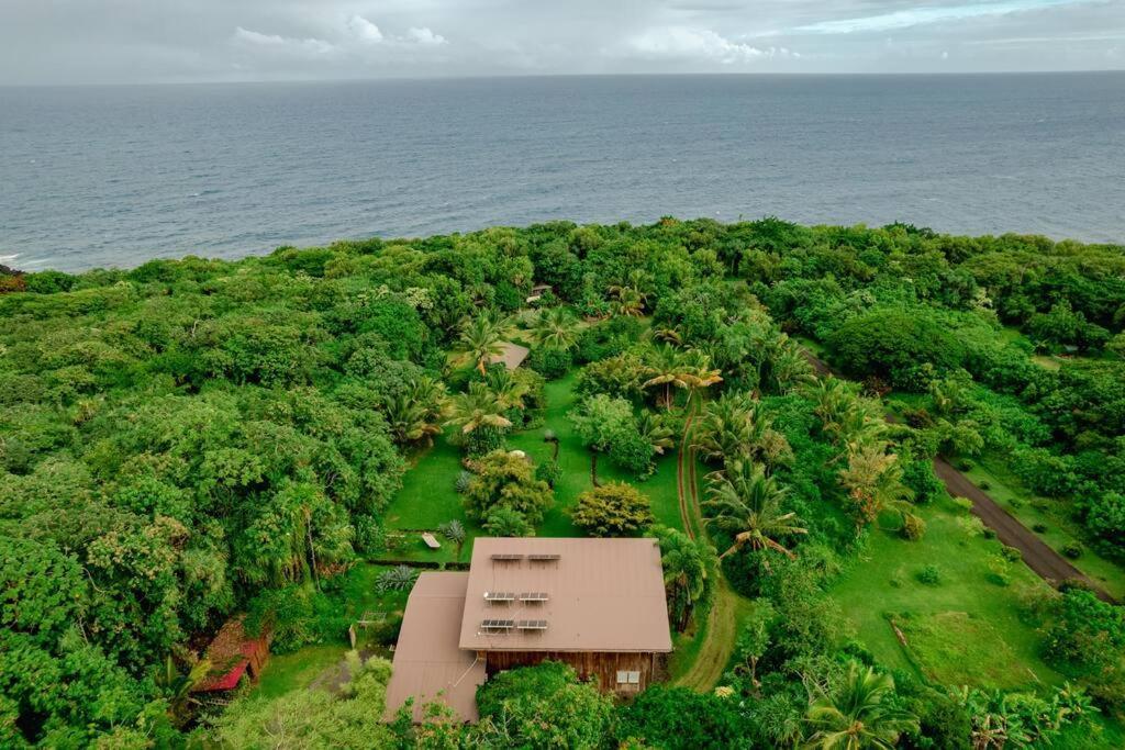Jungle Haven Ocean Front Eco Villa On Fruit Farm 파호아 외부 사진