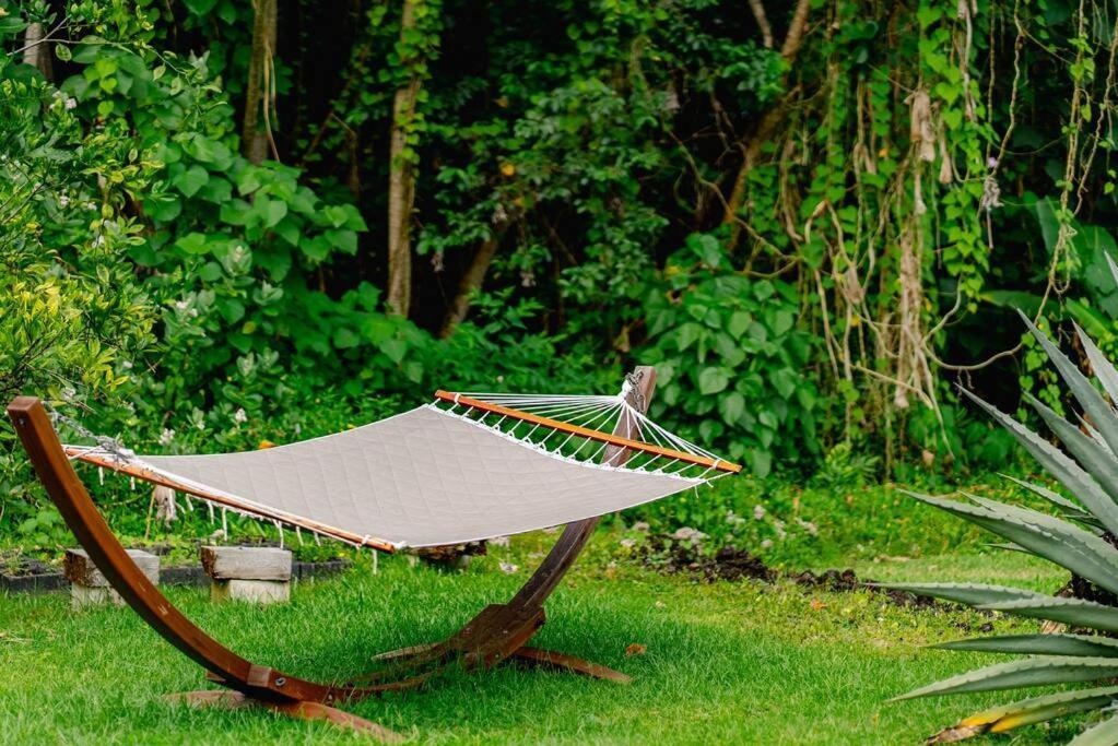 Jungle Haven Ocean Front Eco Villa On Fruit Farm 파호아 외부 사진
