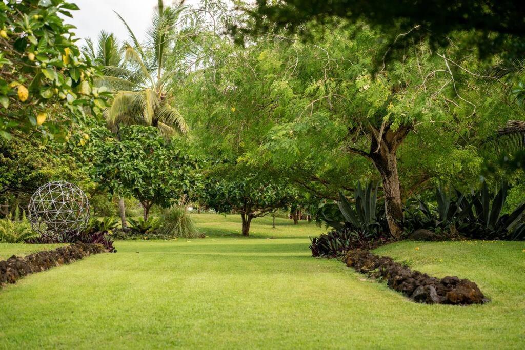 Jungle Haven Ocean Front Eco Villa On Fruit Farm 파호아 외부 사진
