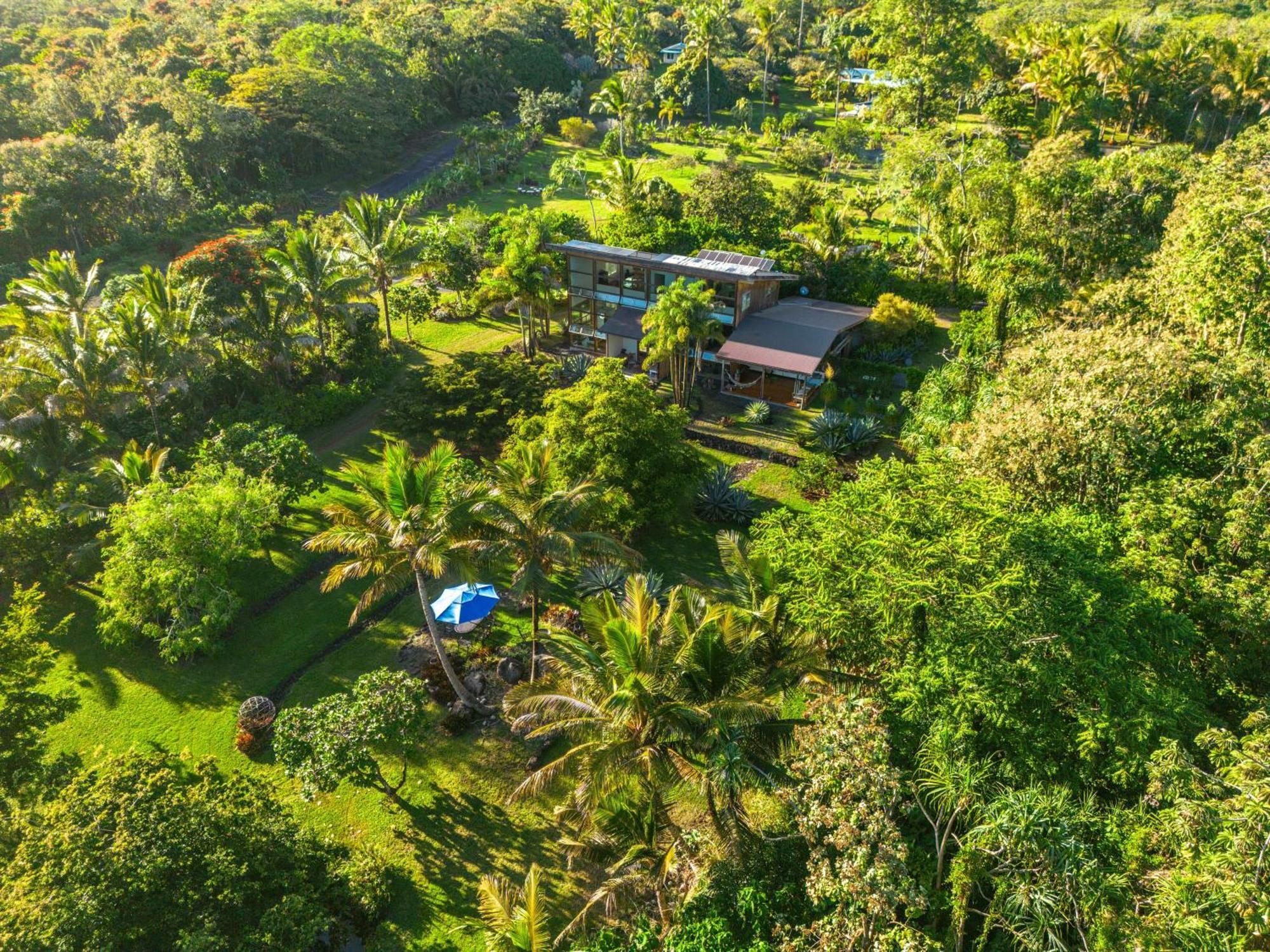 Jungle Haven Ocean Front Eco Villa On Fruit Farm 파호아 외부 사진