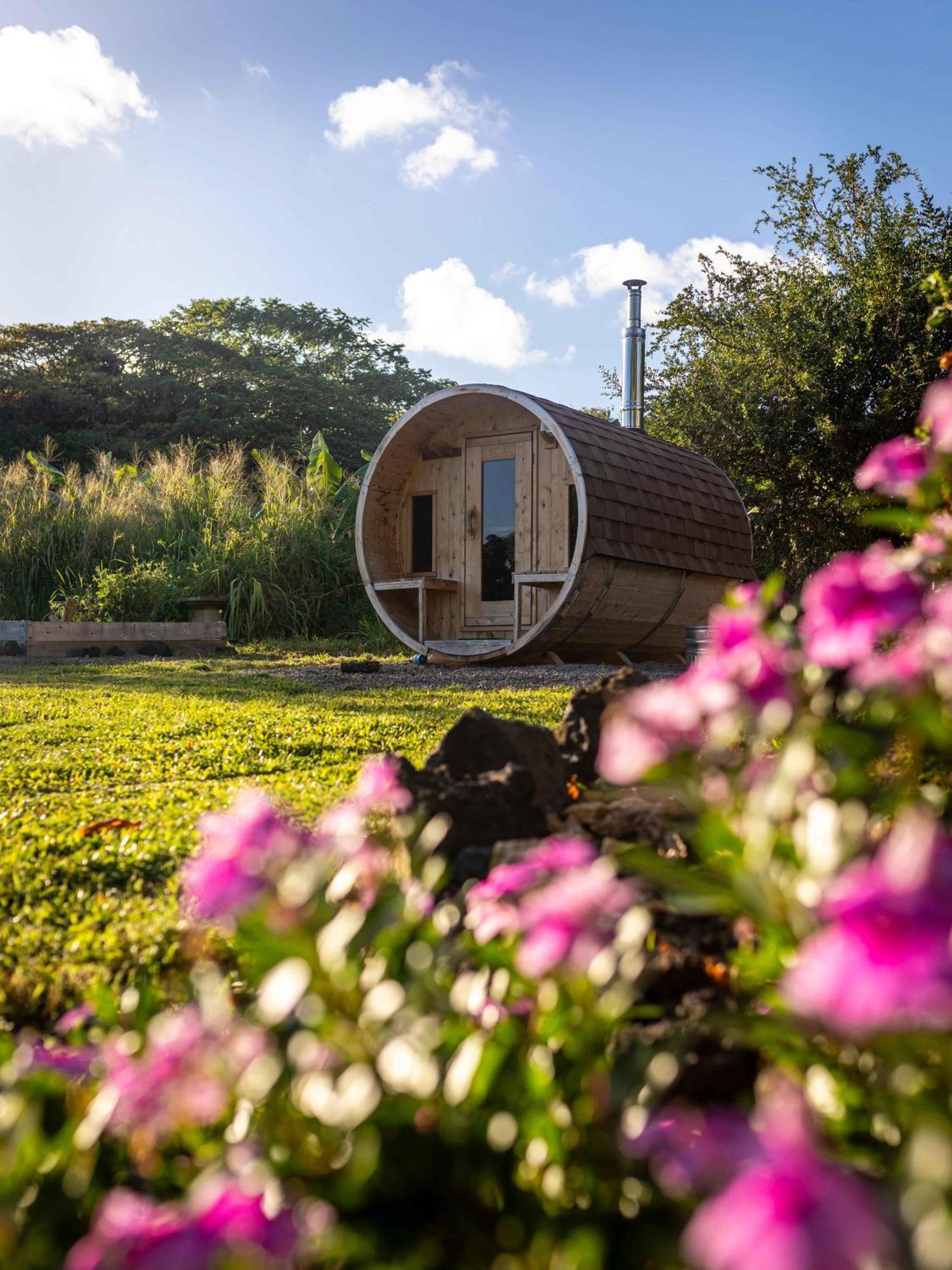 Jungle Haven Ocean Front Eco Villa On Fruit Farm 파호아 외부 사진